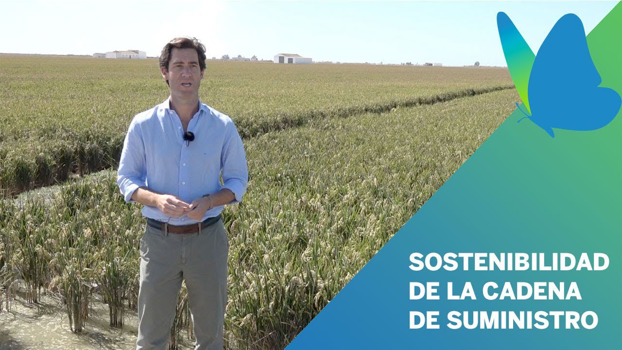 El papel de la sostenibilidad en la cadena de suministro empresarial