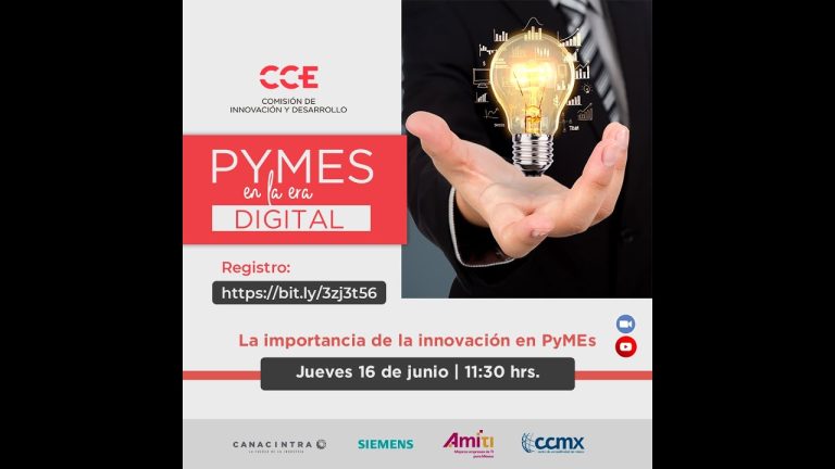 Importancia de la Innovación en PYMEs: Clave para el Crecimiento y ...