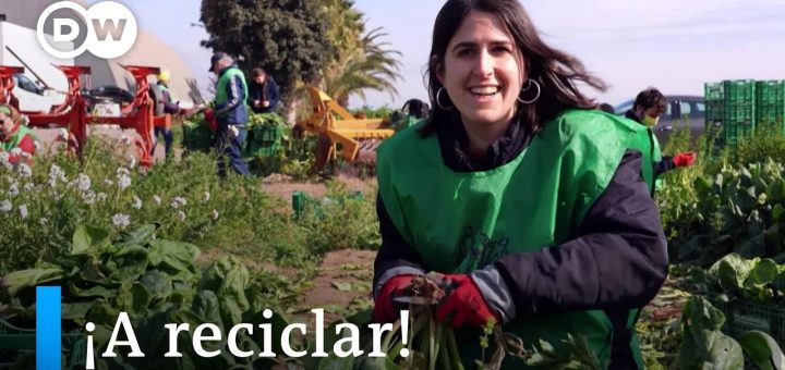 Inversiones en sectores de la economía circular: una guía para autónomos