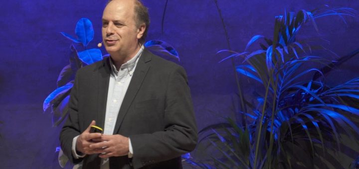 La importancia de la creatividad en la gestión de proyectos freelance