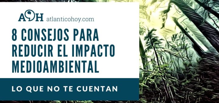 Estrategias para reducir el impacto ambiental de tu empresa