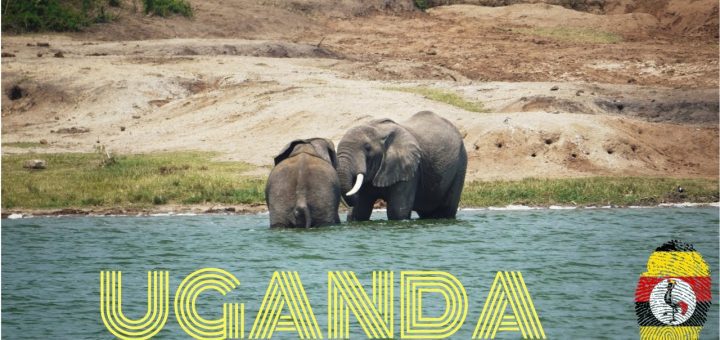 La economía de Uganda: Crecimiento y sostenibilidad