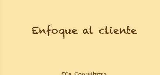 La importancia del enfoque del cliente en la fase seed