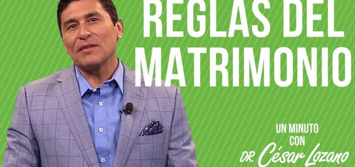 Consejos para superar los obstáculos comunes en la fase seed