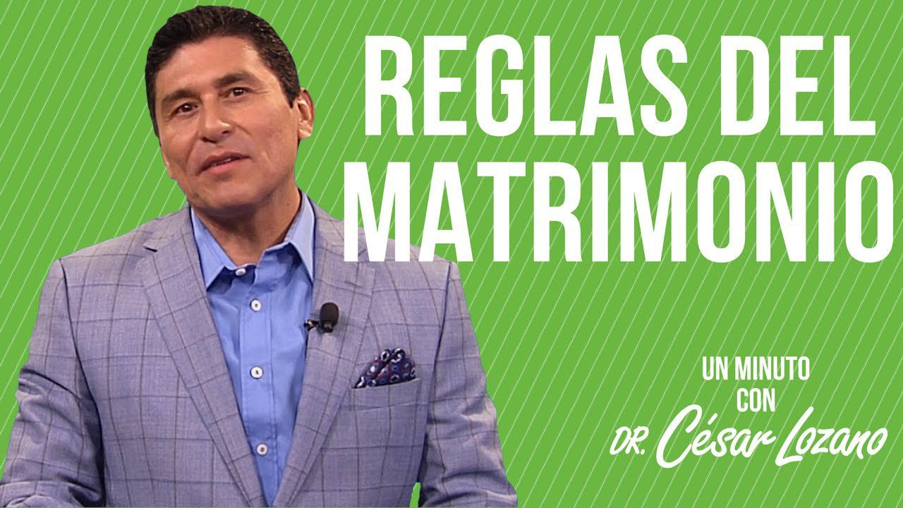 Consejos para superar los obstáculos comunes en la fase seed