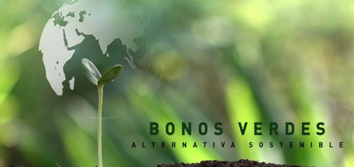 Inversiones en bonos verdes: una alternativa para pymes