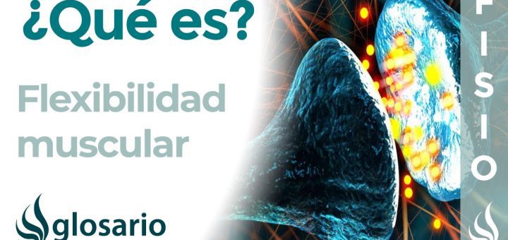 La importancia de la flexibilidad en tu trabajo