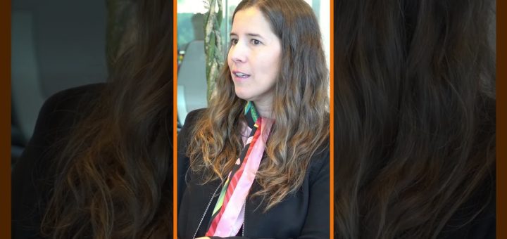 La importancia de la innovación constante en la fase seed