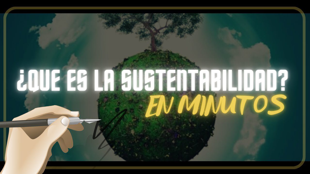 La importancia de la sustentabilidad en el desarrollo de productos en la fase seed