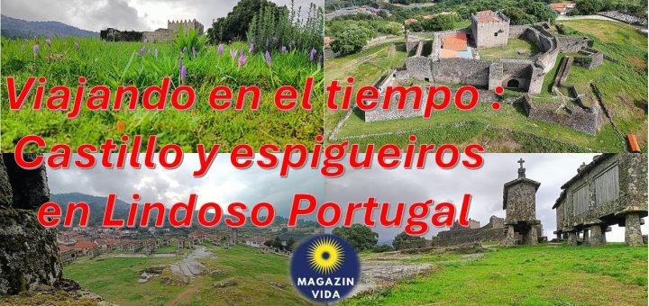Aprende sobre la arquitectura local: Consejos para apreciar el patrimonio histórico en Portugal