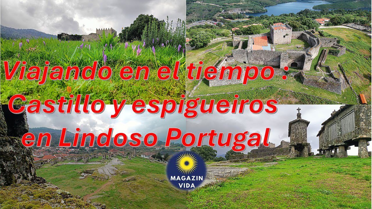 Aprende sobre la arquitectura local: Consejos para apreciar el patrimonio histórico en Portugal