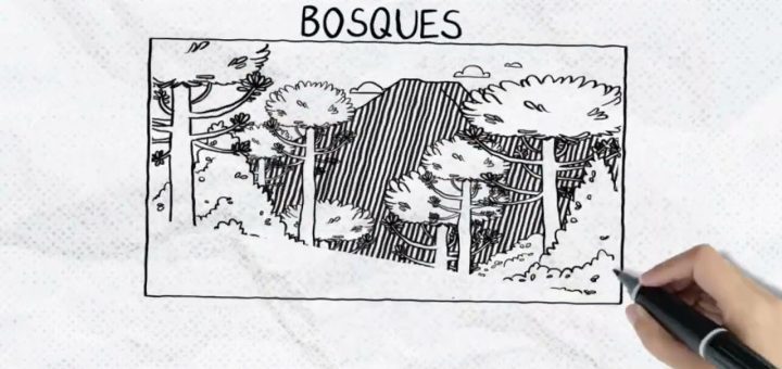 Aprende sobre la fauna local: Consejos para disfrutar de la diversidad natural en Portugal