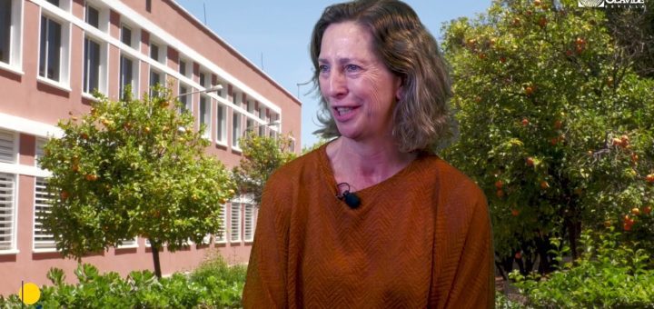 La importancia de la inclusión en la construcción de equipos en la fase seed