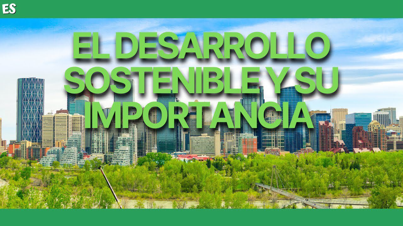 La importancia de la sostenibilidad en tu trabajo