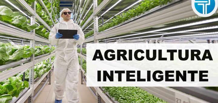 Modelos de negocio en el sector de la agricultura vertical: innovaciones y estrategias