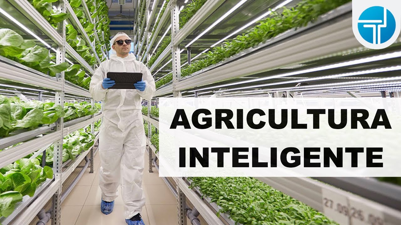 Modelos de negocio en el sector de la agricultura vertical: innovaciones y estrategias