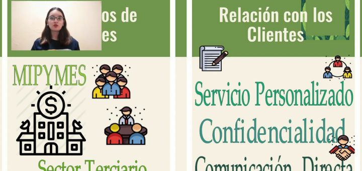 Modelos de negocio en el sector de la consultoría en sostenibilidad: innovaciones y estrategias