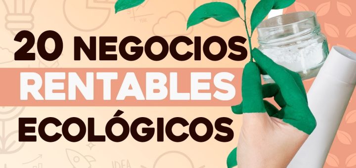 Negocios sostenibles: Consejos para emprendedores con enfoque eco-friendly en Portugal