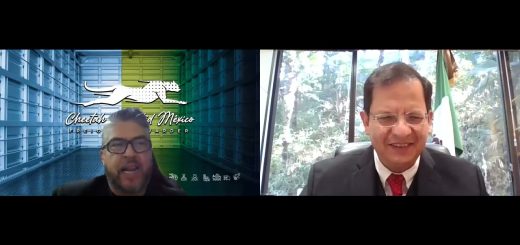 Cómo manejar la gestión de la cadena de suministro global en pymes