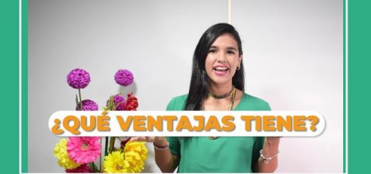 La importancia del marketing sostenible en tu negocio