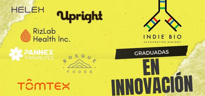 El papel de la bioinformática en las startups de biotecnología