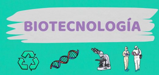 La importancia del feedback de usuarios en el desarrollo de productos de biotecnología