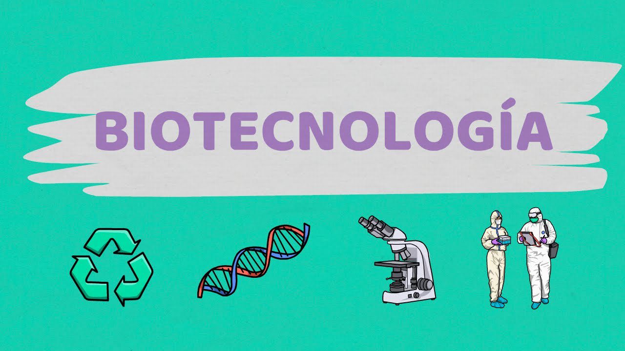 La importancia del feedback de usuarios en el desarrollo de productos de biotecnología