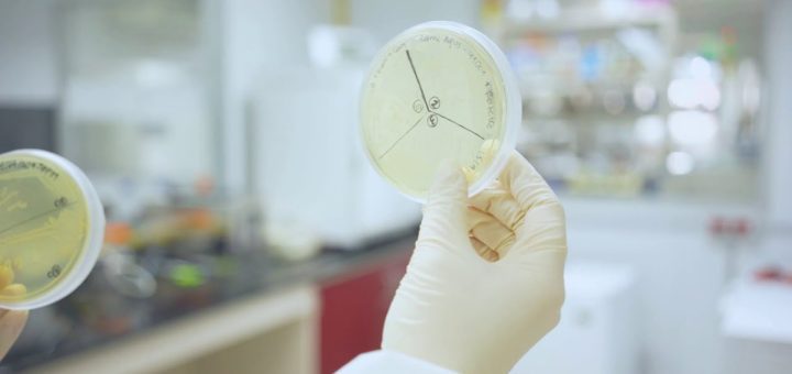 Las tendencias en biotecnología que los emprendedores deben conocer