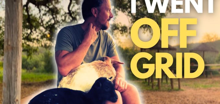 Bienvenido a tu nueva vida: Emigración a Chipre sin complicaciones