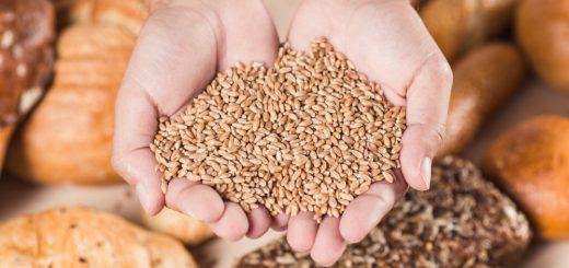 724282 - Grupo Carrera | Negocios10.Com