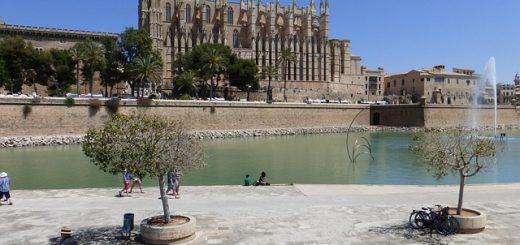 727671 MJ Mallorca | Negocios10.Com